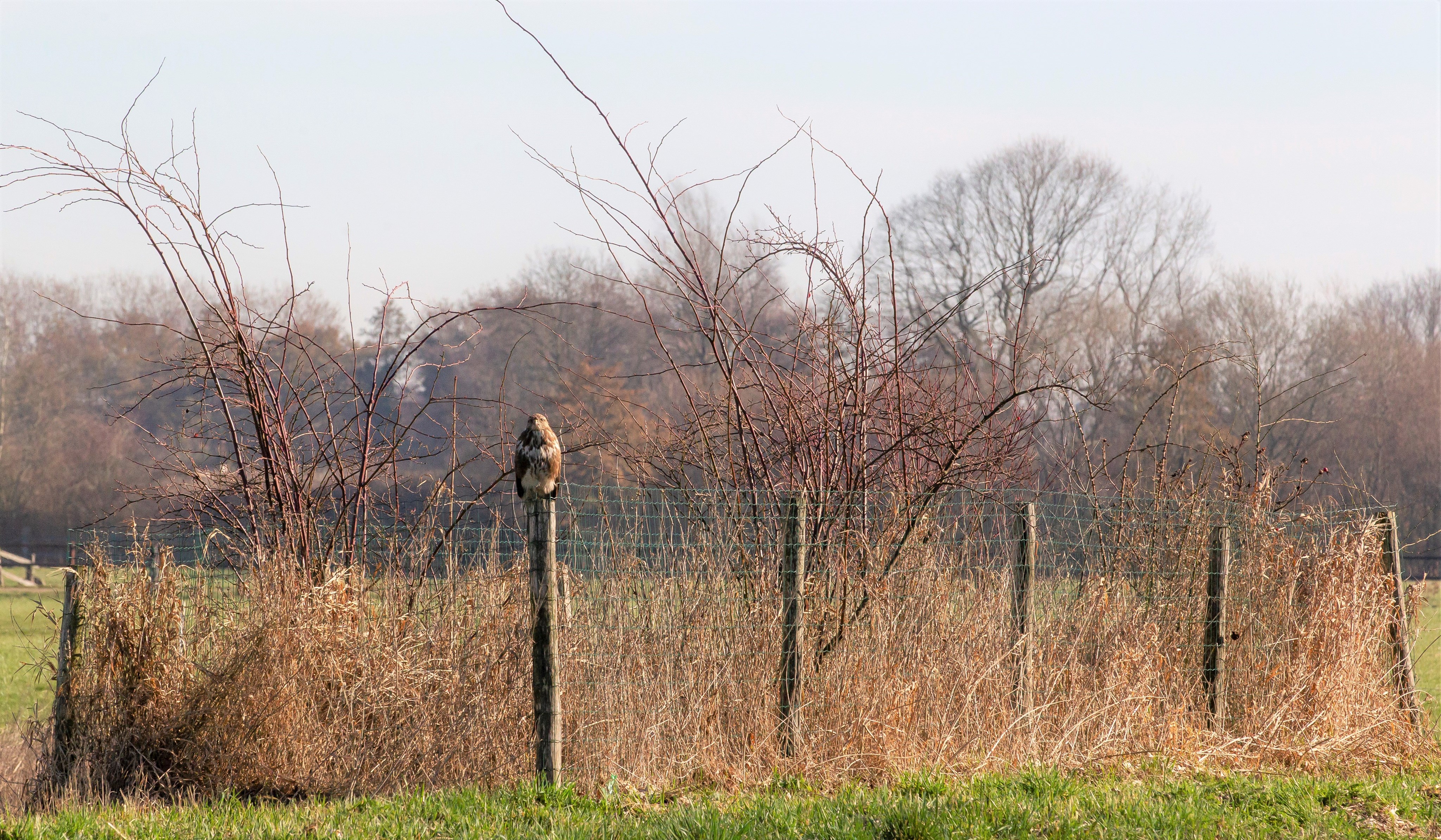 Foto Persbericht Wildervank