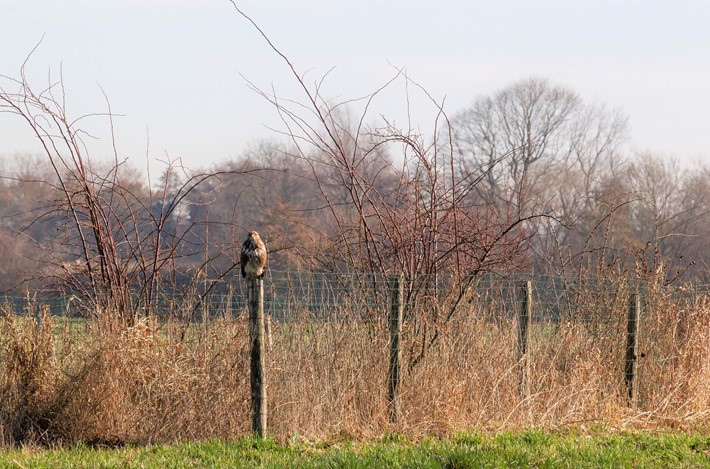 Foto Persbericht Wildervank