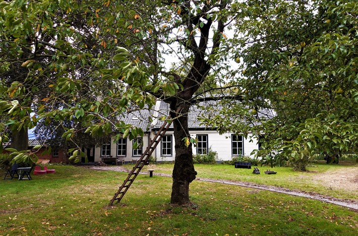 Fruitboom Op Natuurerf