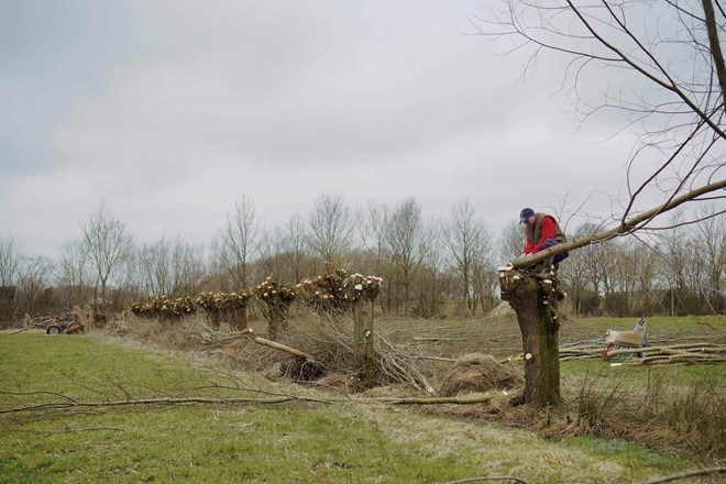 Knotbrigade Bijna Klaar