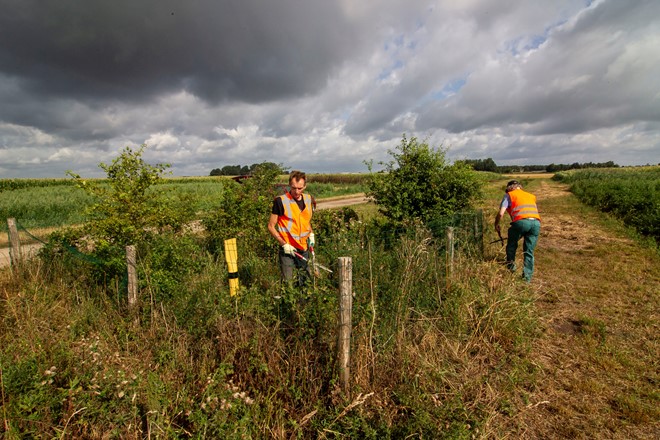 1908 AE Struweelbrigad 2