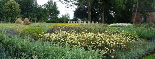 Kloostertuin Hooibergen 495X400