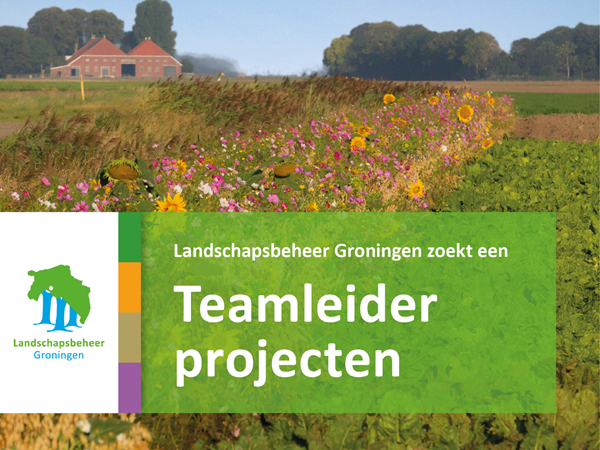 Vac Banner TL Voor Web
