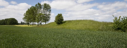 Oude Dijk Den Andel Het Groninger Landschap Zomer