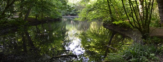 Groene Parel 2