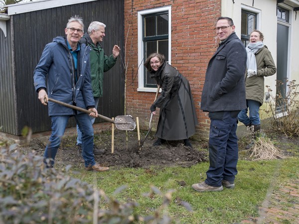 Planten Mispel Op Verhildersum