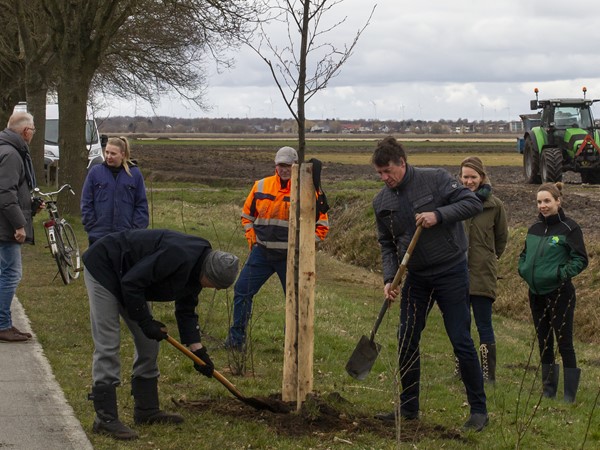 Beplanten Wijkenstelstel Wildervank