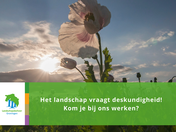 Deskundigheid in het landschap Normaal