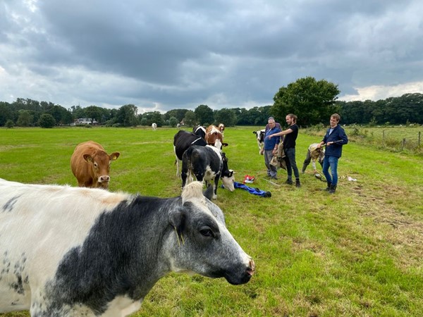 2E Workshop Pingoruines In Het Gorecht