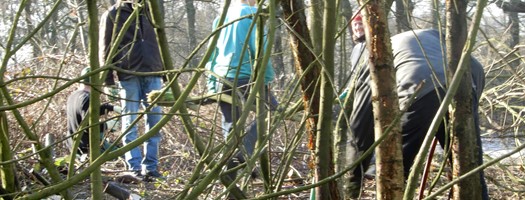 Gebiedsaanpak Gorecht Appelbergen Evert (16)