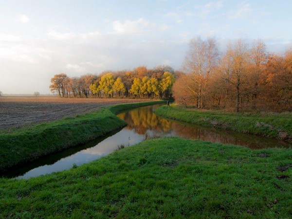 2017 Herfst Herstkleur