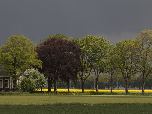 Essen In Het Waddenlandschap