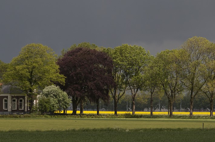Essen In Het Waddenlandschap