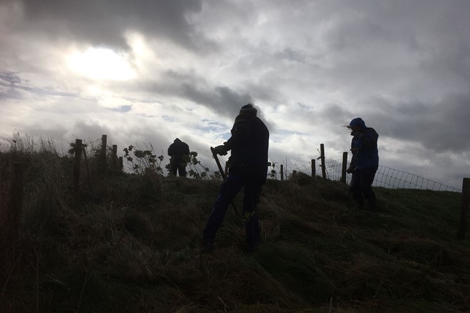 Vrijwillige Brigade Landschapsbeheer Groningen