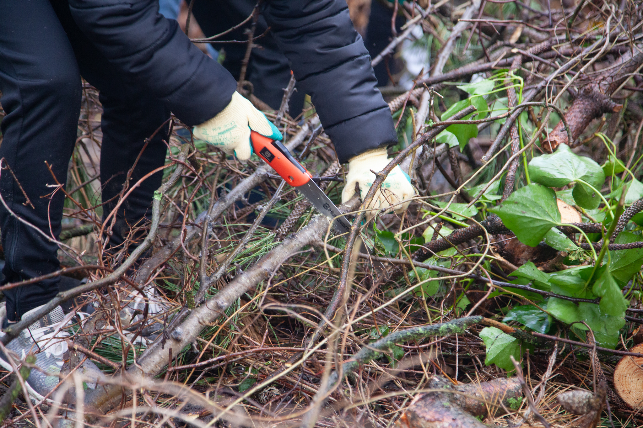 Irenelantman IMG 7221 2048