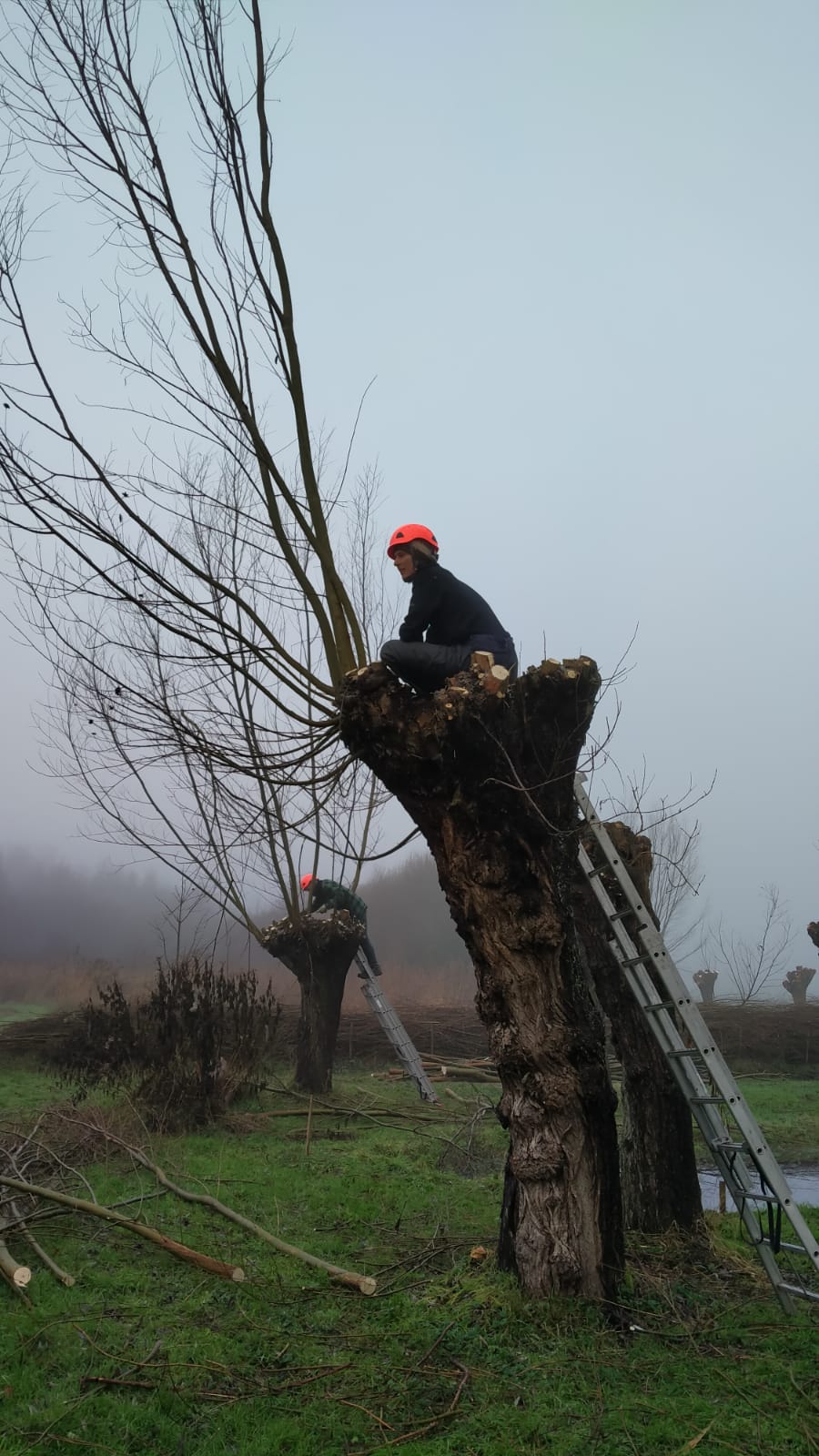 Whatsapp Image 2023 01 24 At 15.53.58 (2)