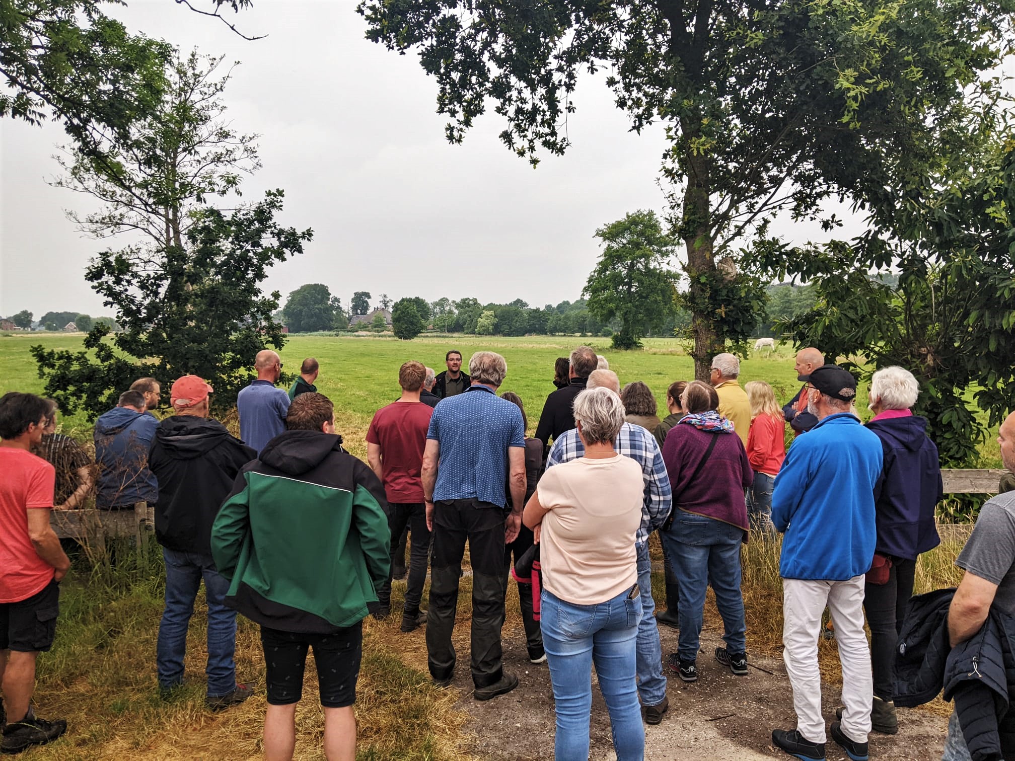 Whatsapp Image 2023 06 29 At 11.31.50@