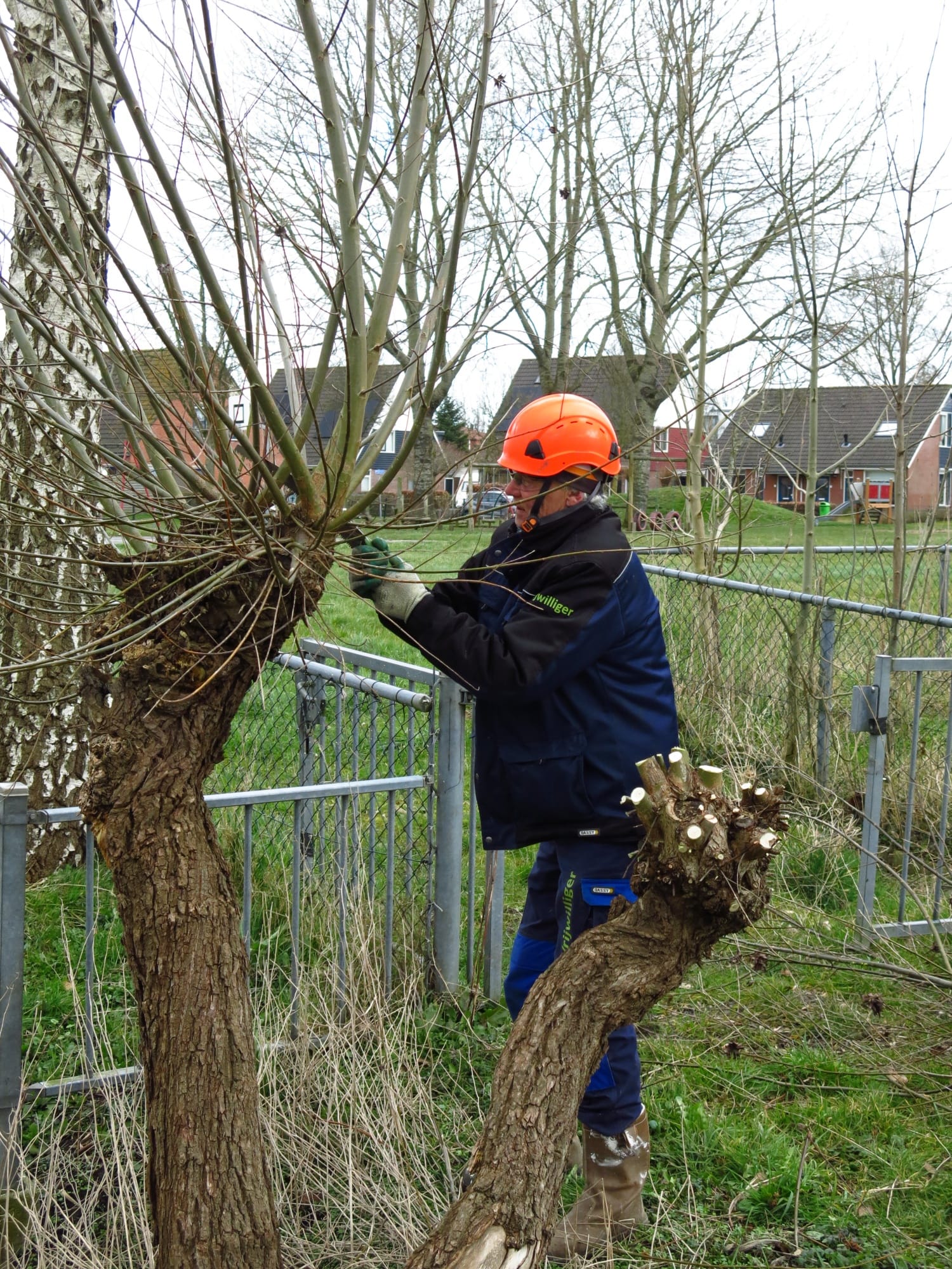 Johan Betsema Aan Het Knotten (1)