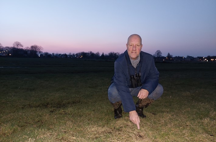 Eerste kievitsei 2024