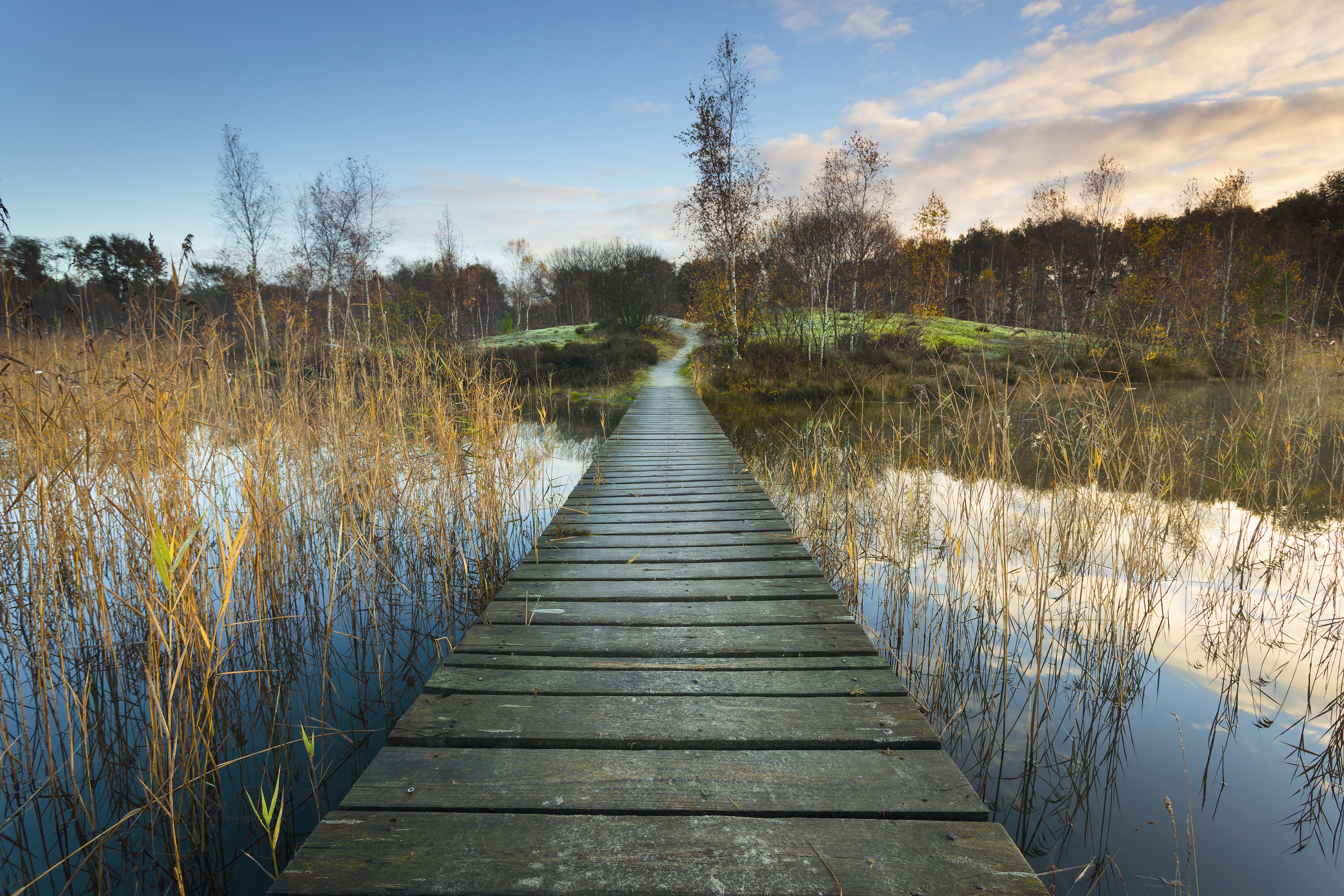 THUIS - Routebureau Groningen