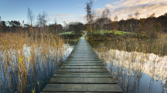 THUIS - Routebureau Groningen