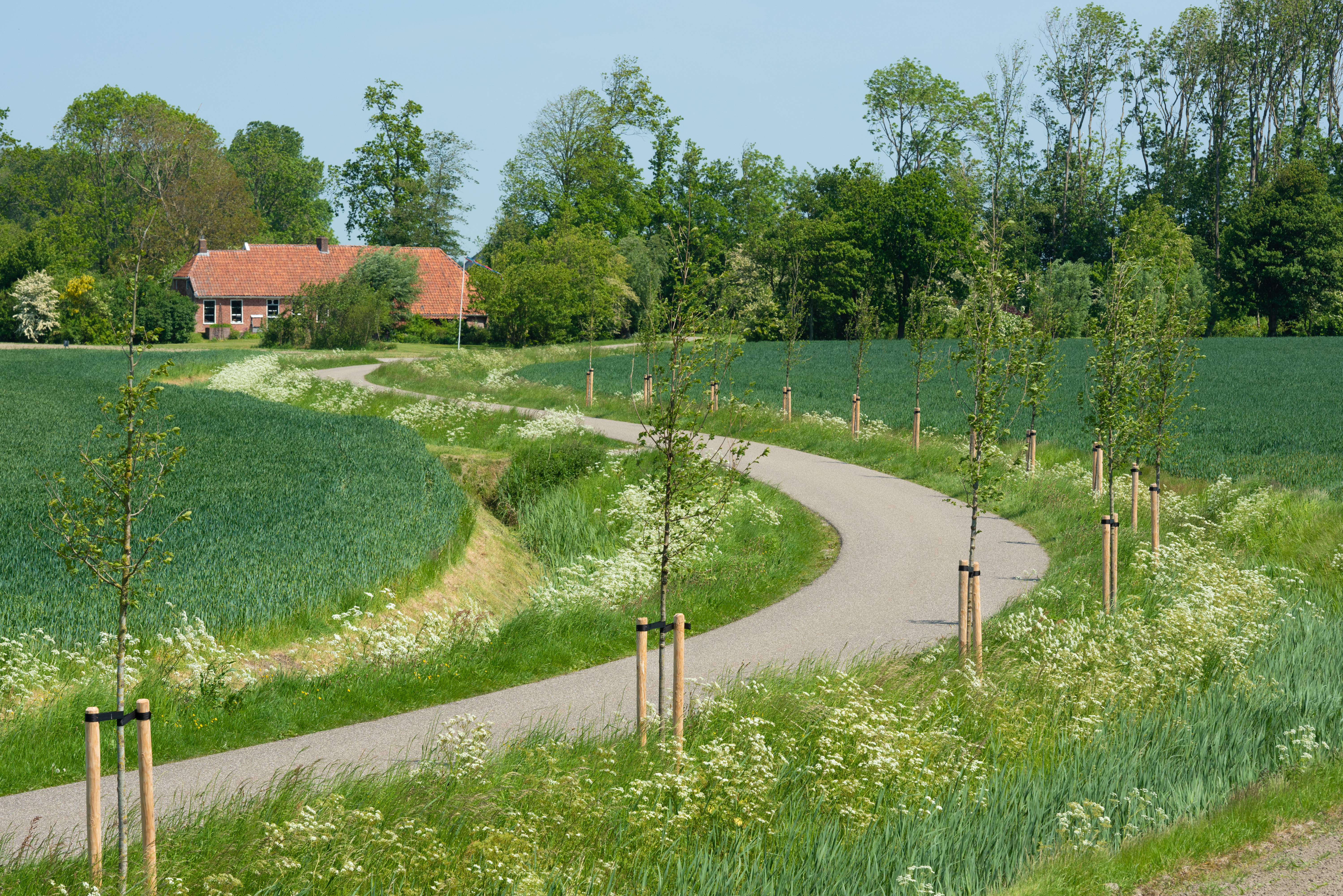 Bermen komen tot Leven