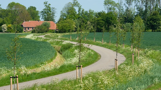 Bermen komen tot Leven