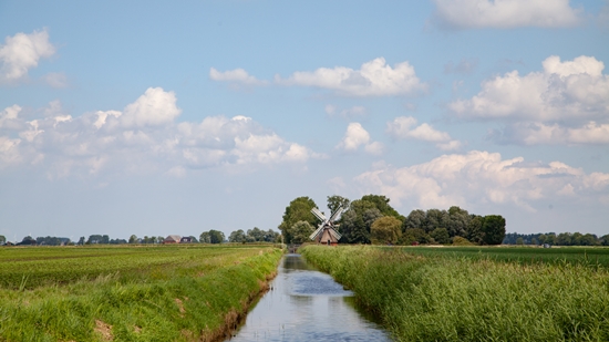 Bloeiend Perspectief