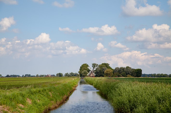 Bloeiend Perspectief
