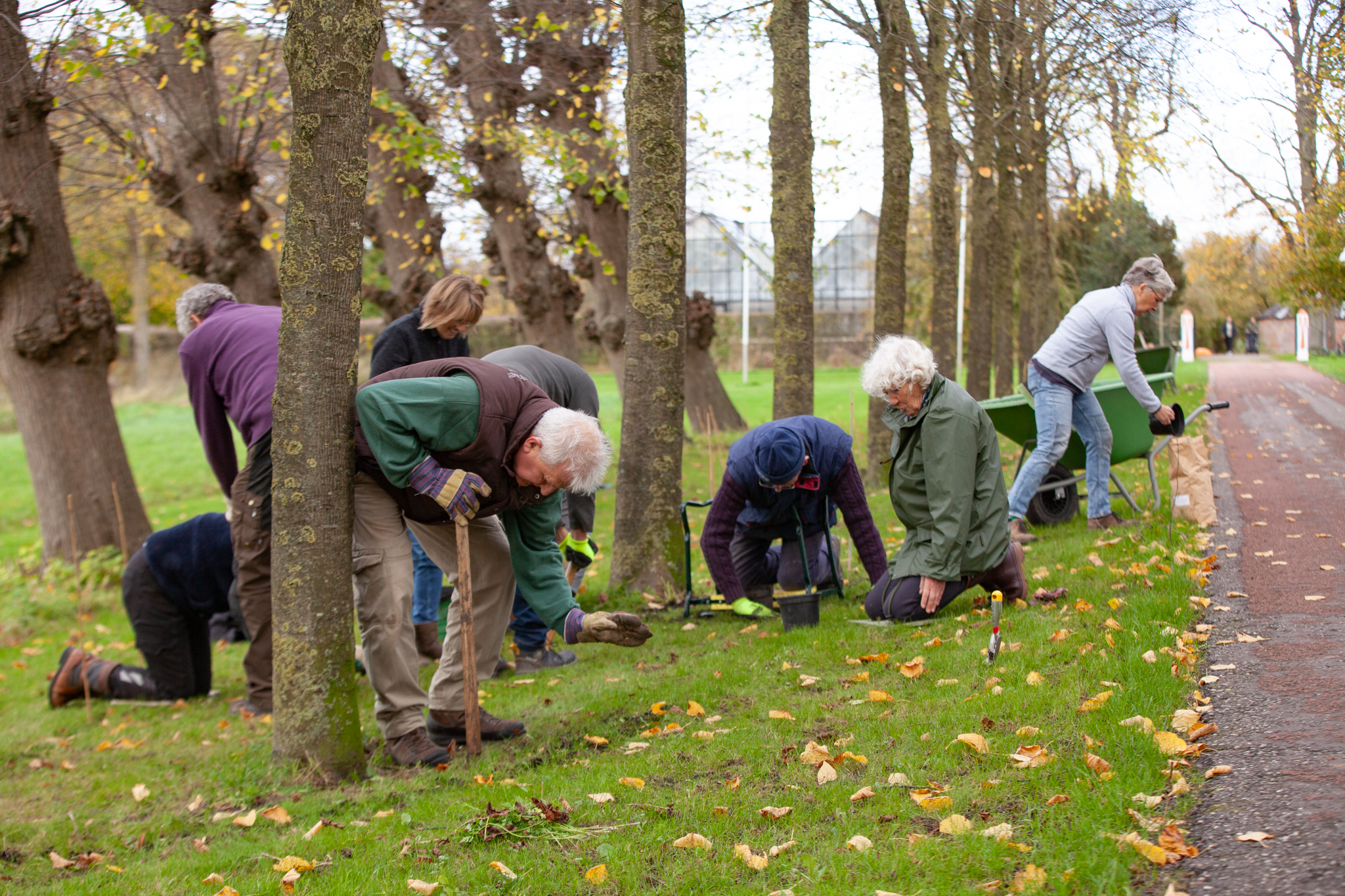 54111732224 980903B637 O