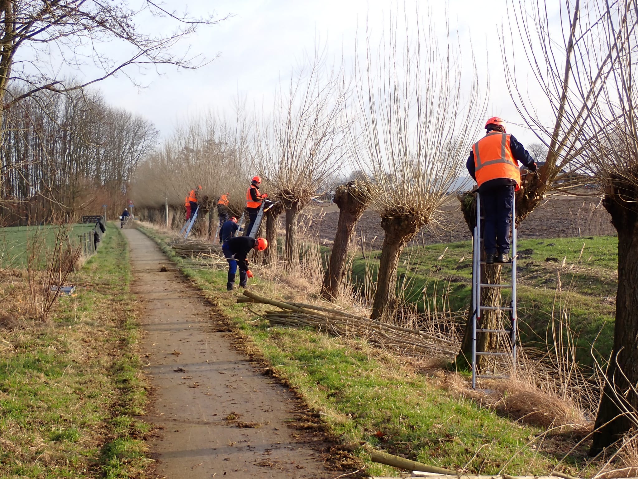 Whatsapp Image 2024 12 05 At 16.40.30