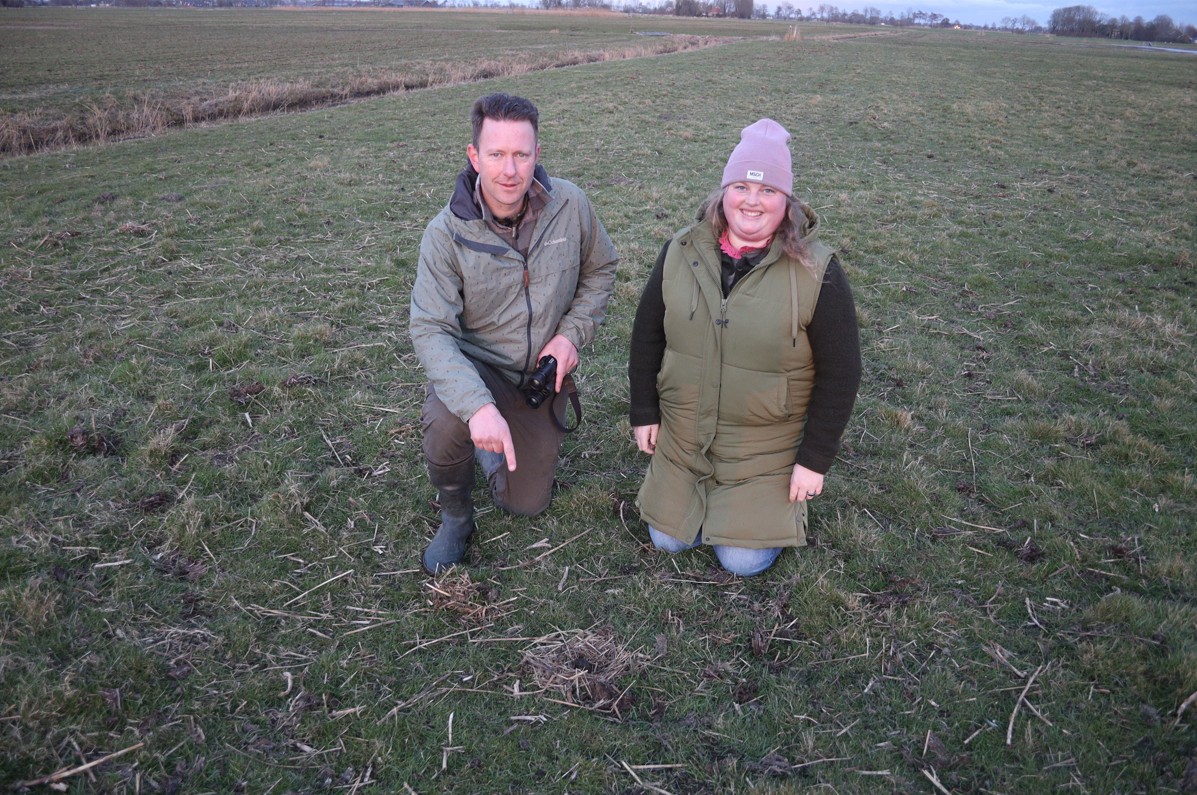 Eerste Kievitsei Provincie Groningen Klein