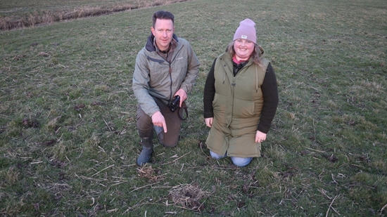 Eerste Kievitsei Provincie Groningen Klein