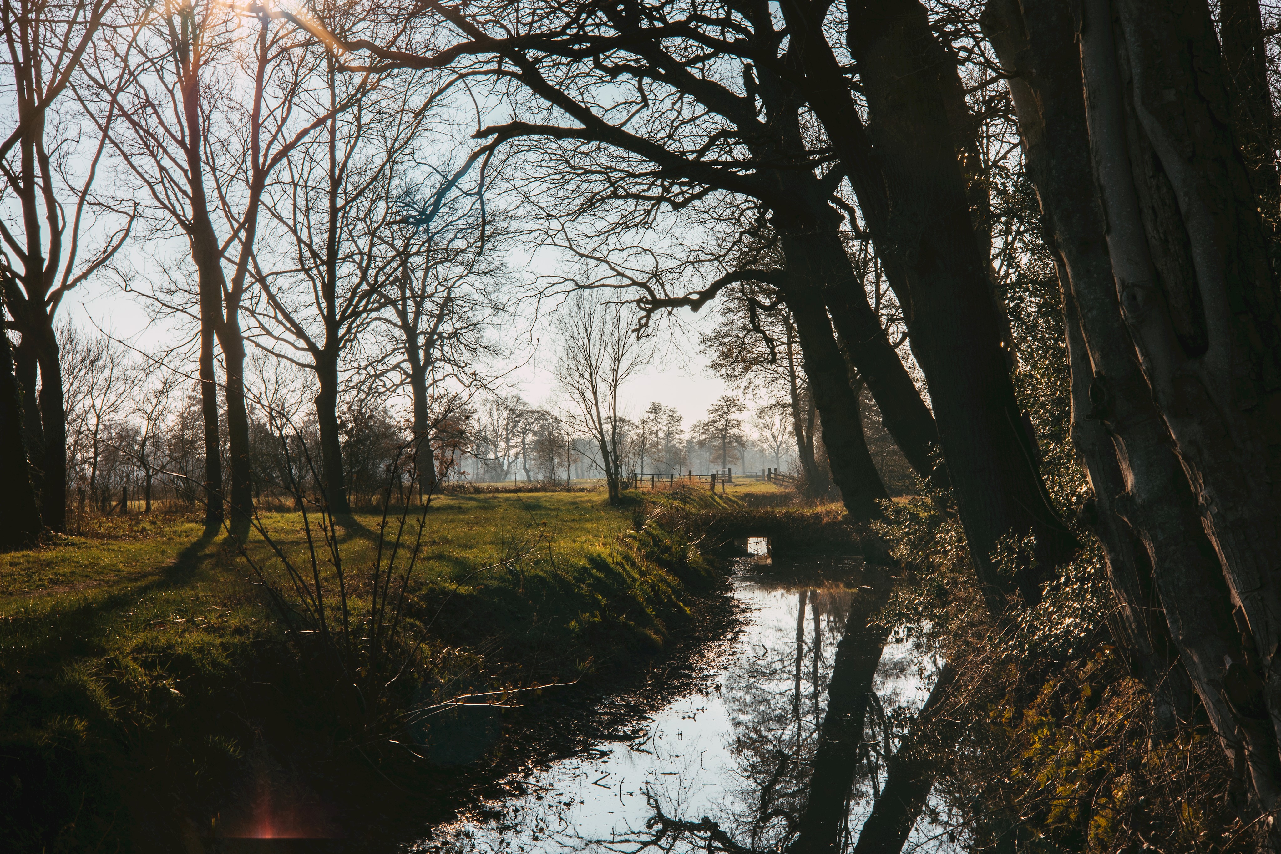 Afbeelding Houtsingels In Niebert Stella Dekker Fotografie, 3 Maart 2021