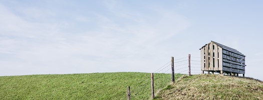 Dijk Met Schotbalkhuisje Stella Dekker