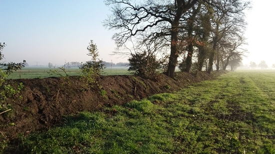 Afbeelding 2 Herstelde Houtwal In Het Gorecht