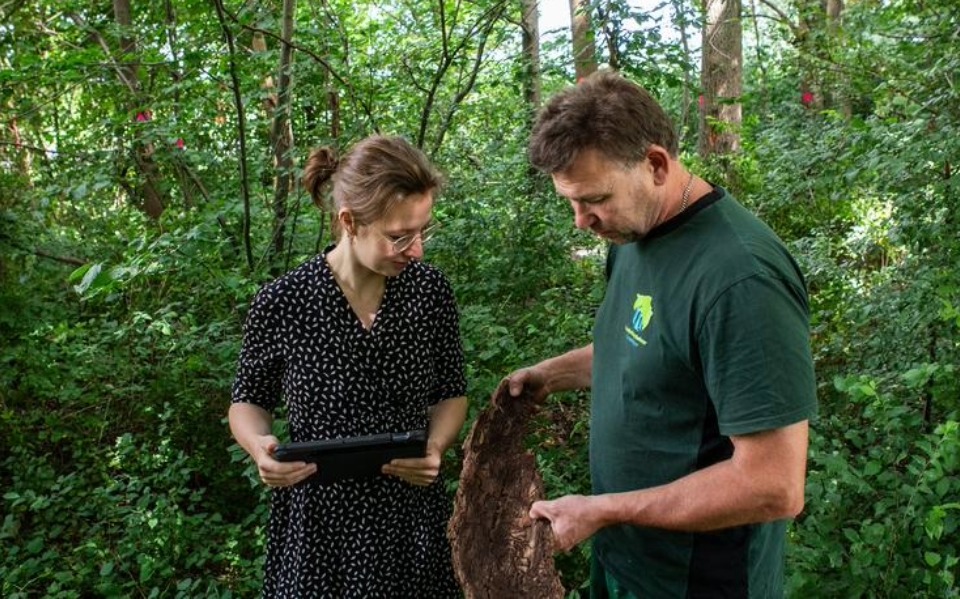 Iepziekte Anne En Albert