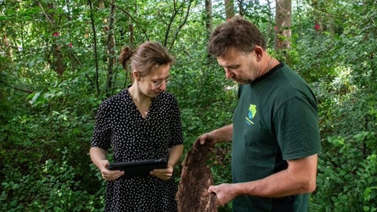 Iepziekte Anne En Albert