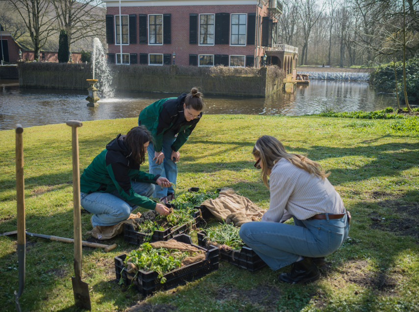 Stinzenplanten Breedenborg