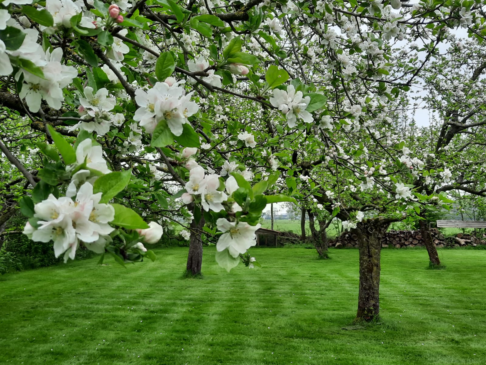 Afbeelding Van Whatsapp Op 2024 11 05 Om 10.54.46 446801Ca