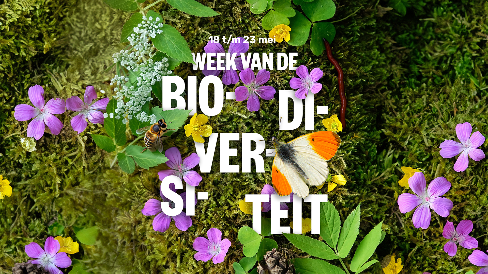 DZG Weekbiodiversiteit2026 KV DEF Landscape 1920X1080