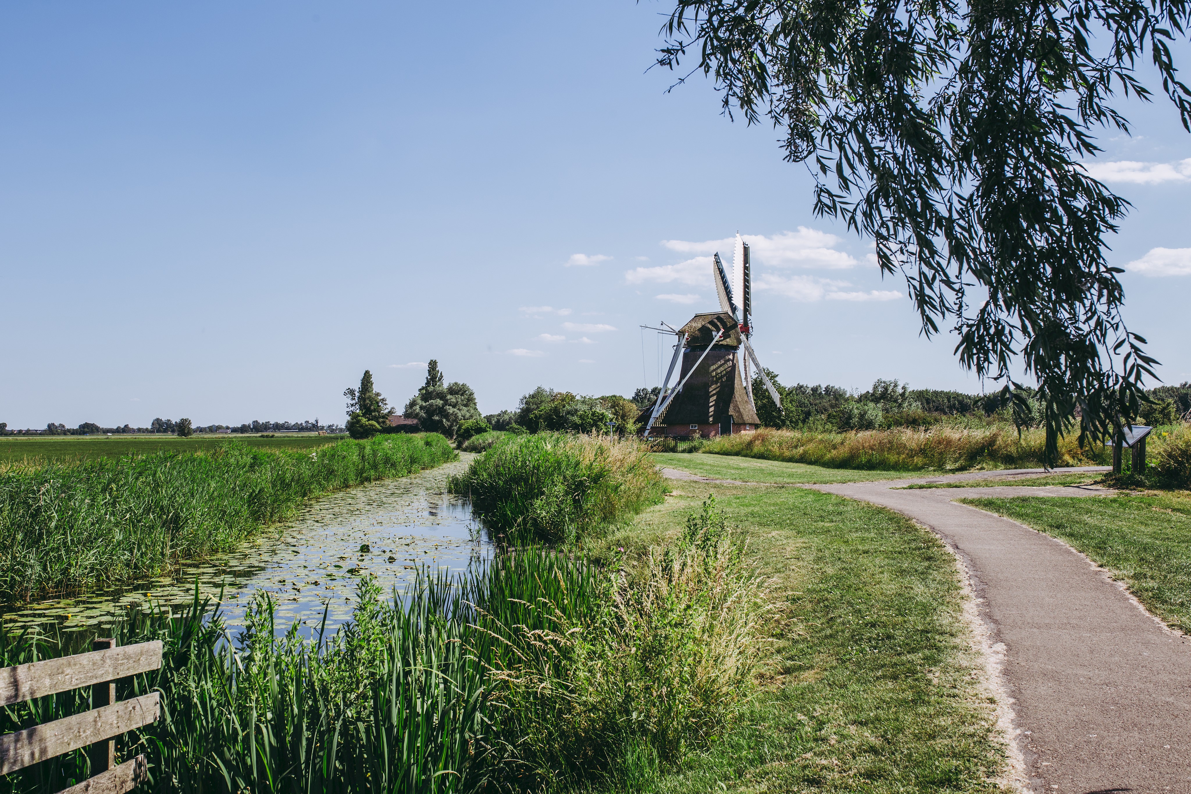 Noordermolen
